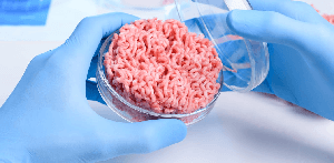 Lab-Grown Meat