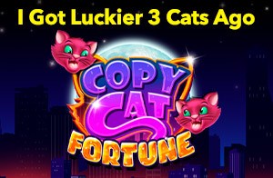 copy cat fortune