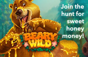 Beary wild game promo