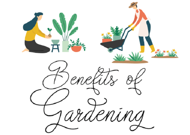 Benefits of Gardening