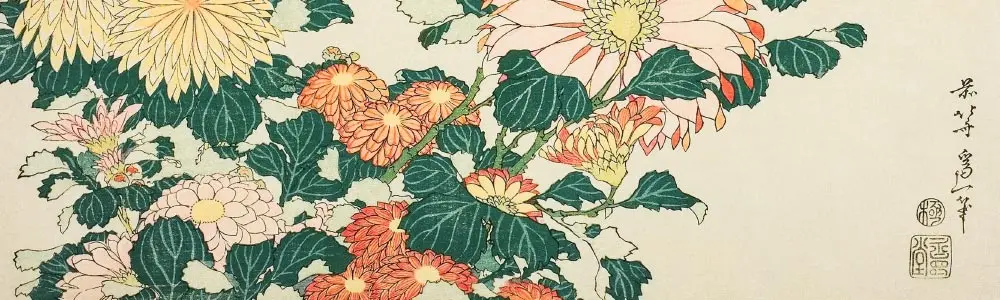 chrysanthemums