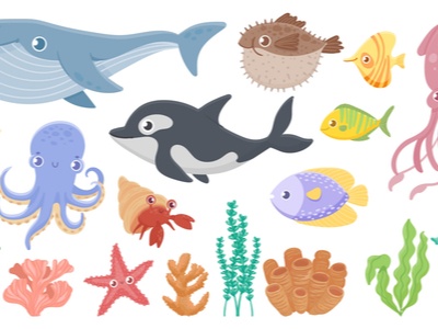 cartoon drawing of underwater creatures