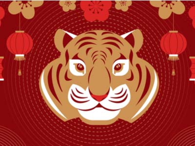 Chinese Year of the Tiger symbols