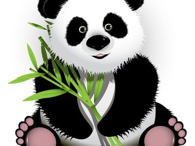 cute drawing of a panda holding a bamboo