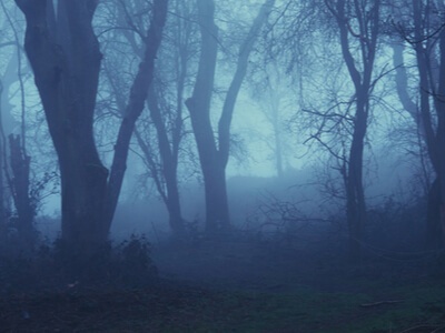 foggy, mysterious atmosphere 