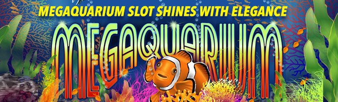 mega aquarium